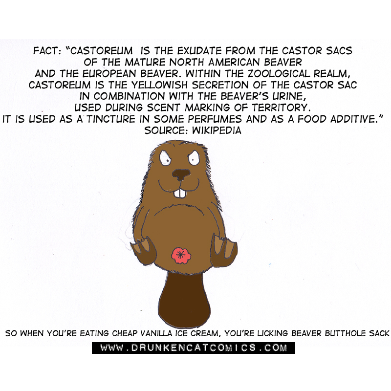 Facts You May Not Want To Know Beaver Buttholes Drunken Cat Comics 