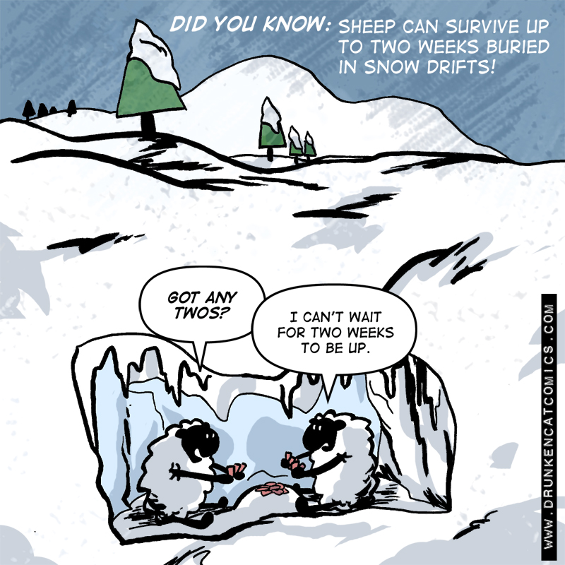 Survival of the Sheep