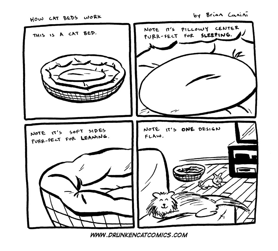 How Cat Beds Work