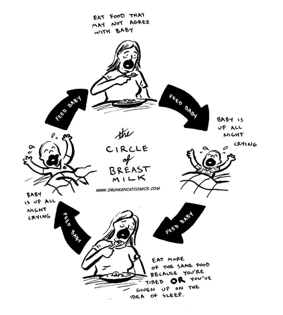 The Circle of Breast Milk