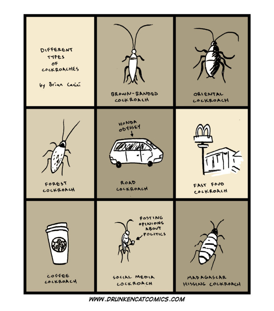 Different Types of Cockroaches